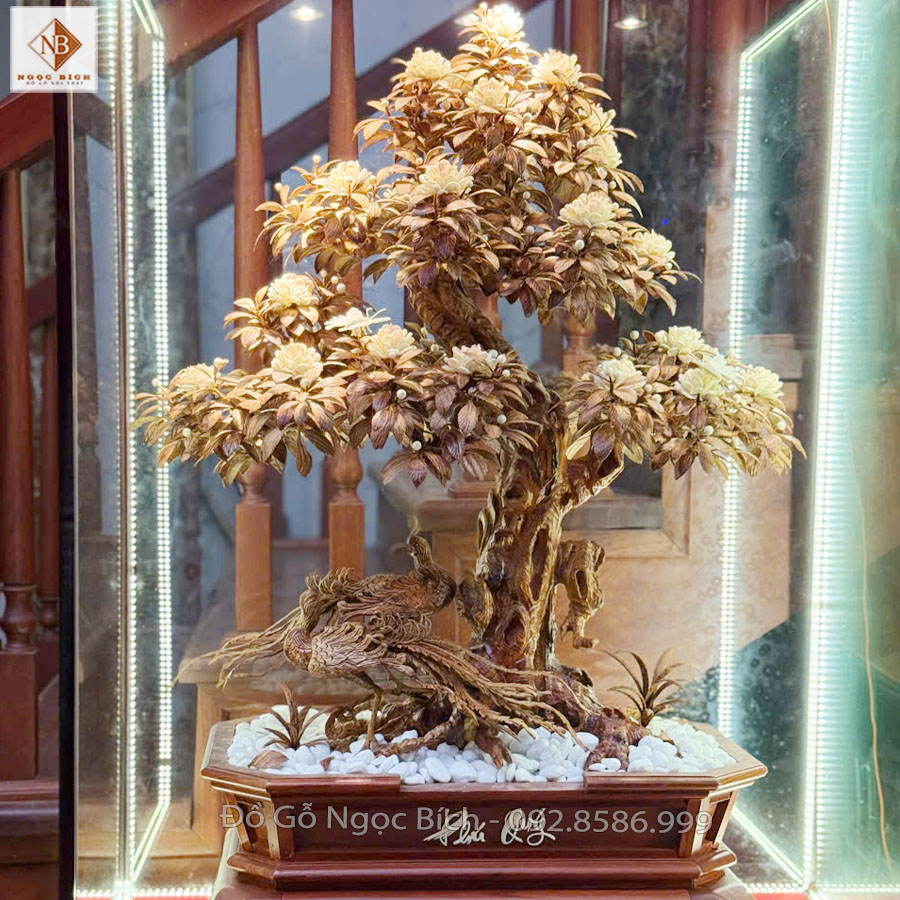 Chậu Hồng Cổ Bonsai gỗ sưa 